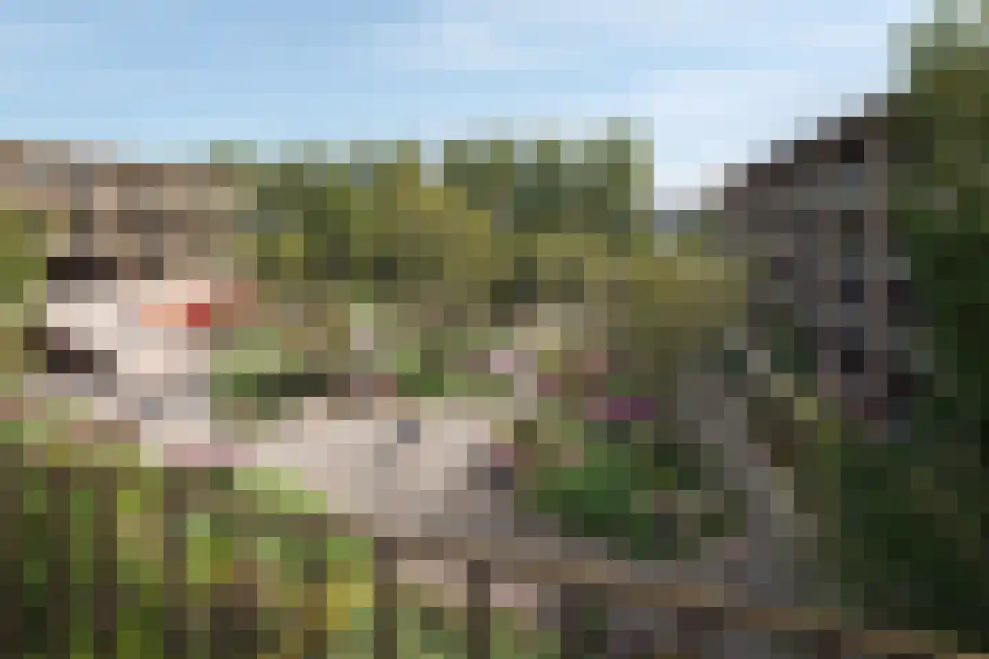 Groen van Prinsterersingel 22 Gouda thumbnail 8