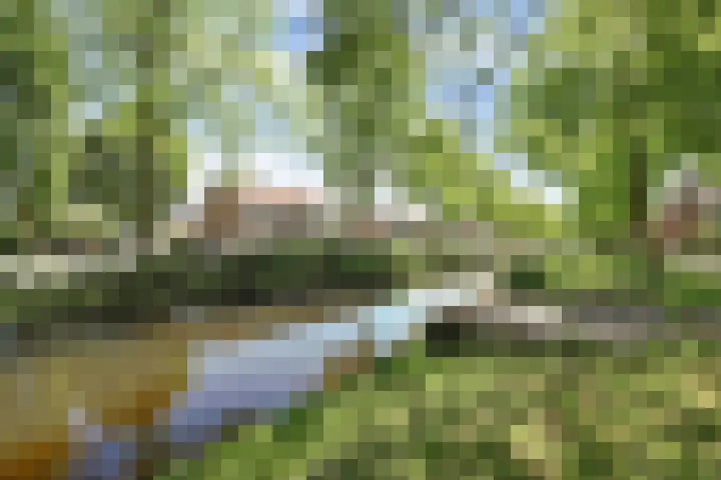 Groen van Prinsterersingel 27 Gouda thumbnail 30