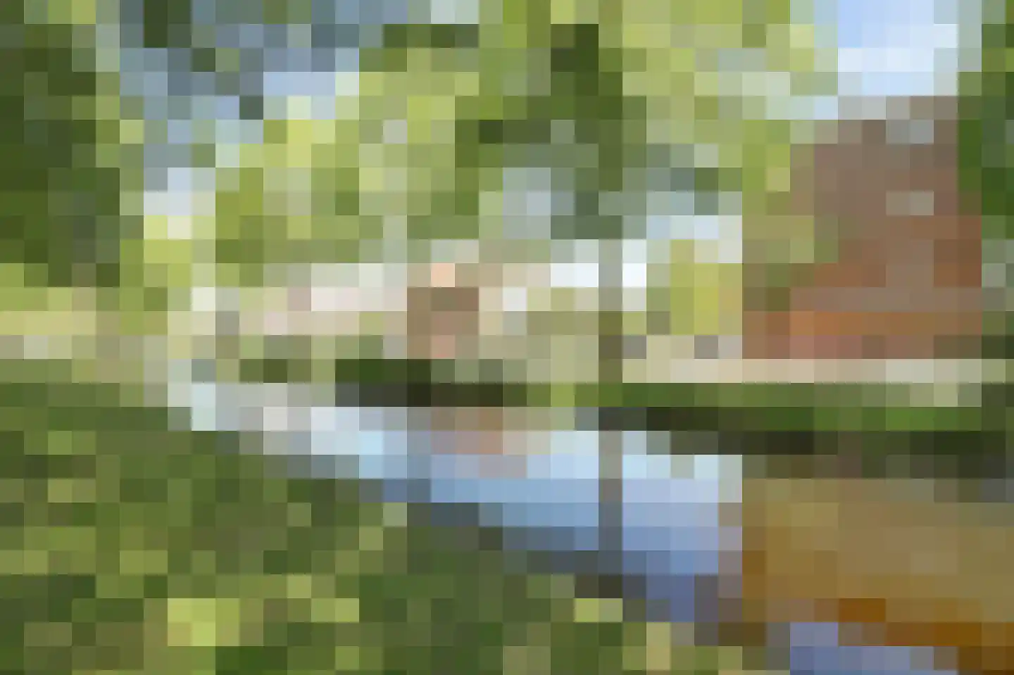 Groen van Prinsterersingel 27 Gouda thumbnail 31