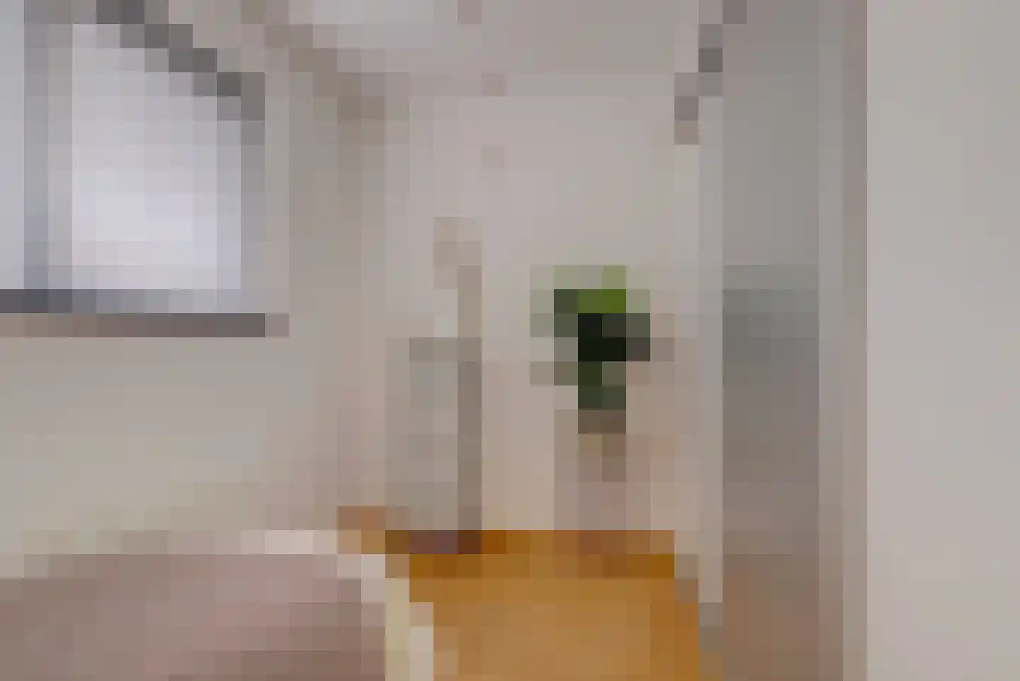 Groen van Prinsterersingel 29 Gouda thumbnail 17