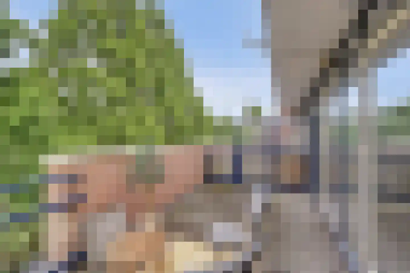 Groen van Prinsterersingel 29 Gouda thumbnail 30