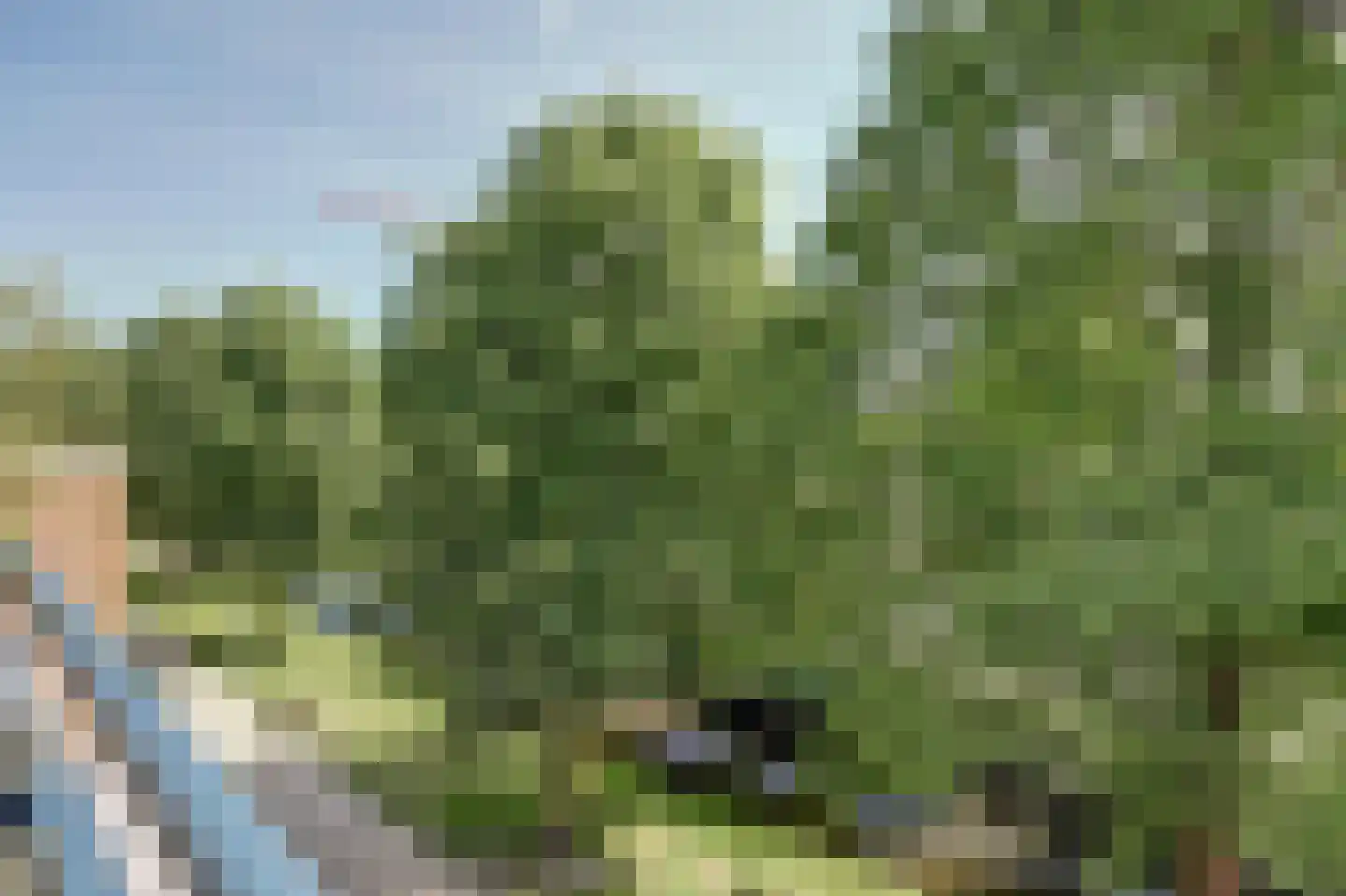 Groen van Prinsterersingel 29 Gouda thumbnail 32