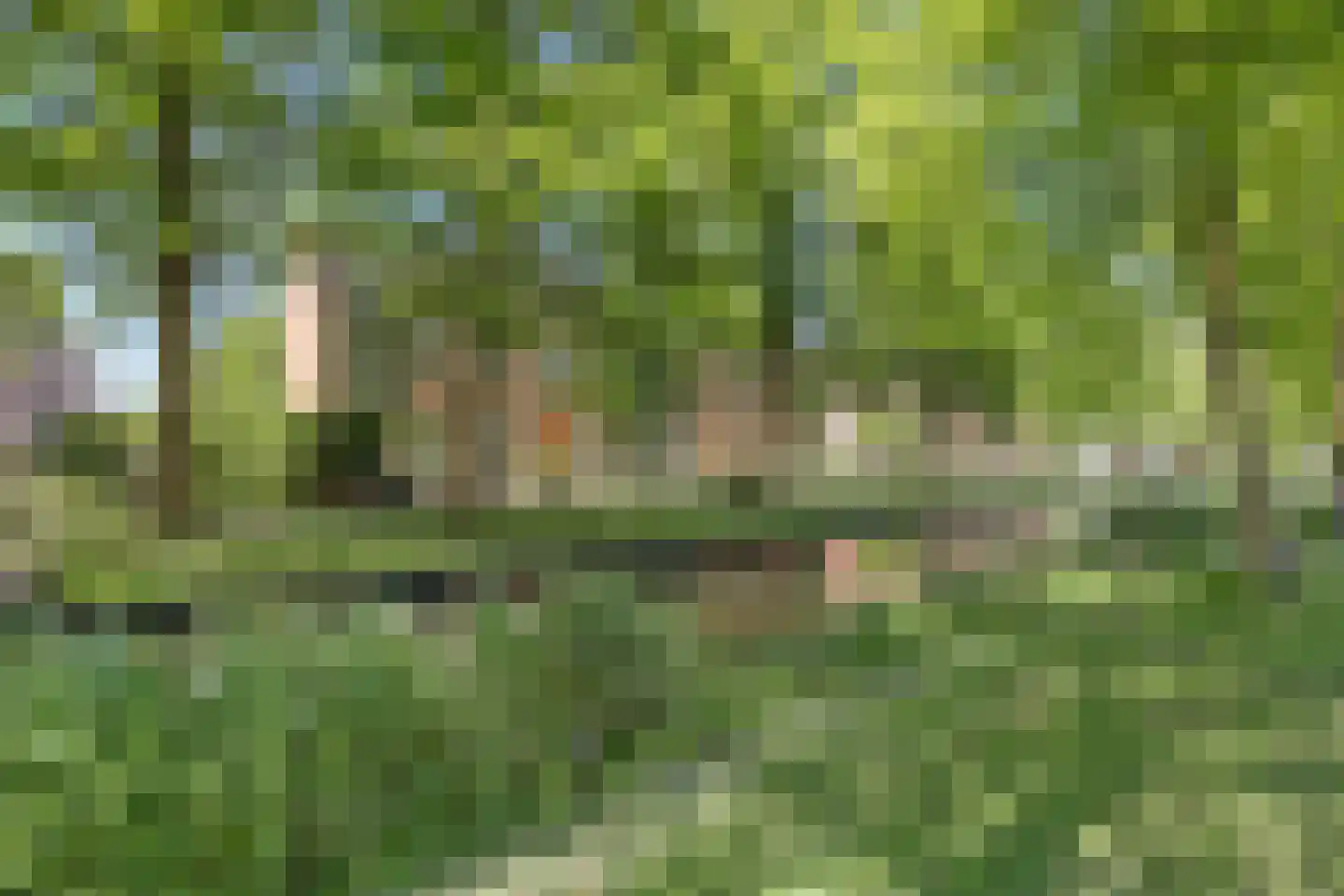 Groen van Prinsterersingel 29 Gouda thumbnail 35