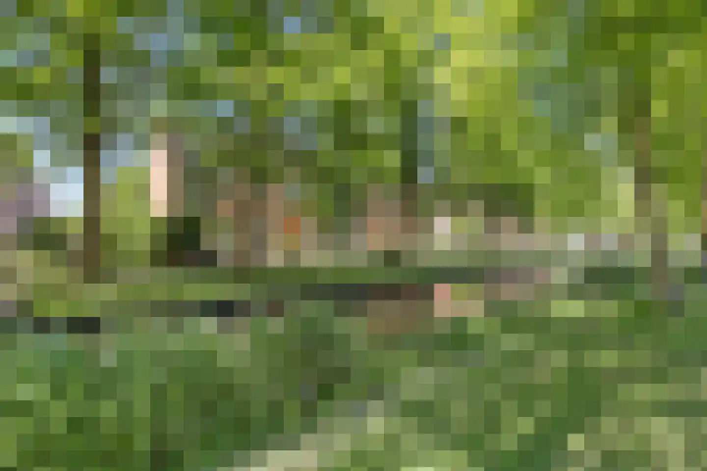 Groen van Prinsterersingel 29 Gouda thumbnail 39