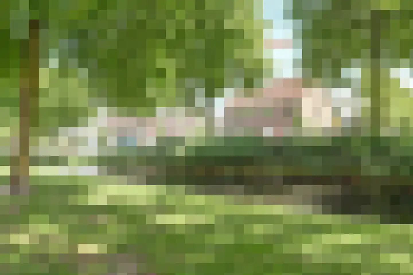 Groen van Prinsterersingel 29 Gouda thumbnail 40