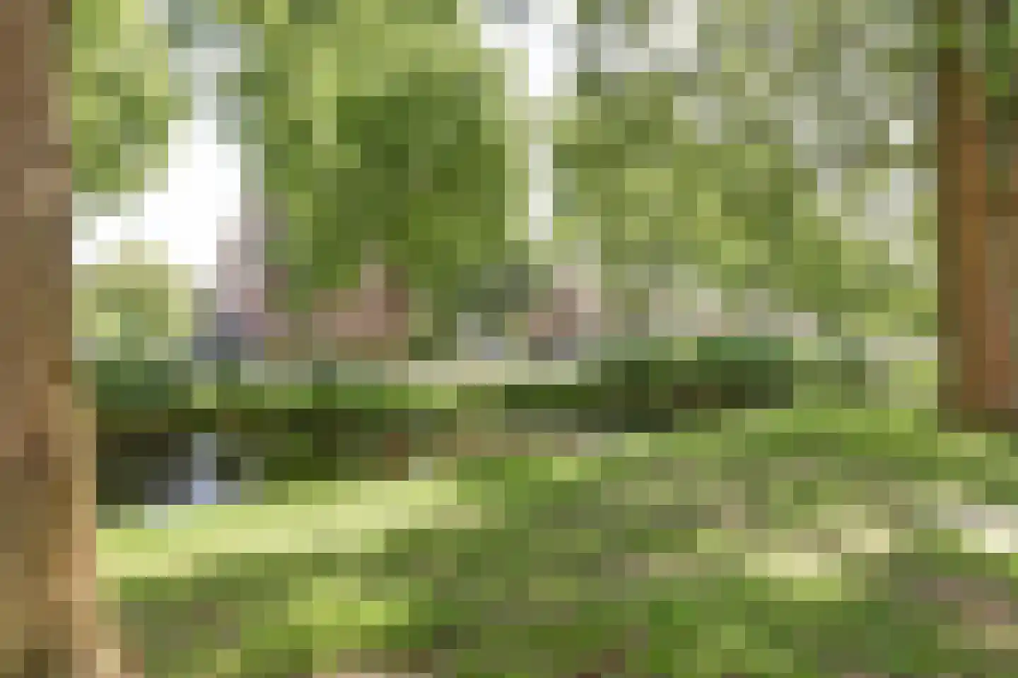 Groen van Prinsterersingel 29 Gouda thumbnail 41