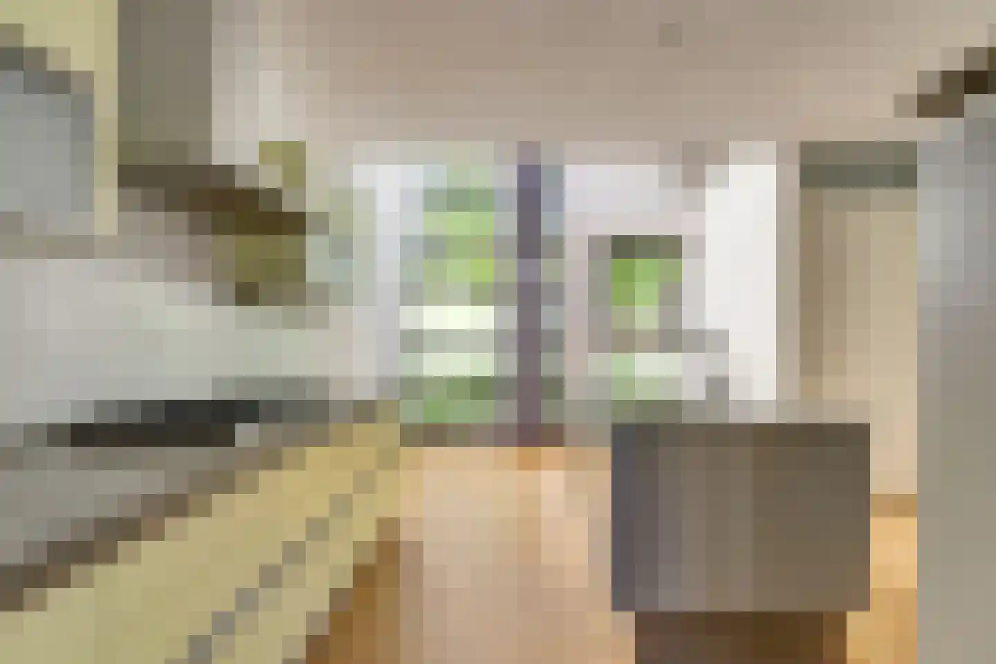 Groen van Prinsterersingel 29 Gouda thumbnail 7