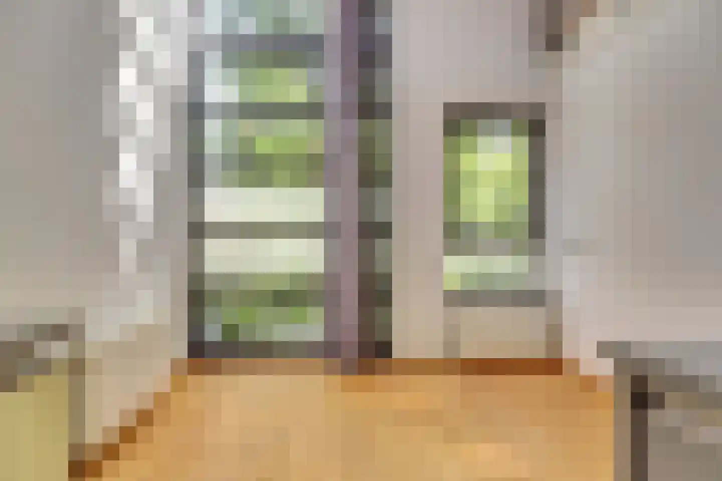 Groen van Prinsterersingel 29 Gouda thumbnail 8