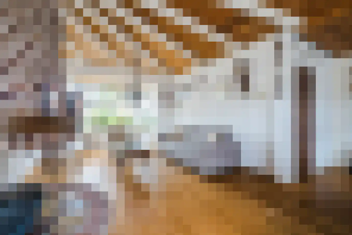 Groen van Prinsterersingel 30 Bunschoten-Spakenburg thumbnail 6
