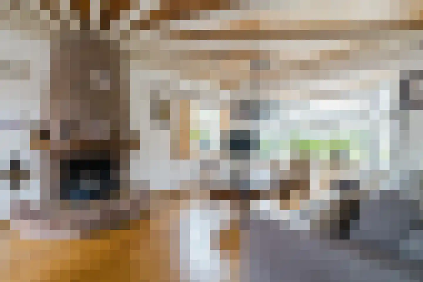 Groen van Prinsterersingel 30 Bunschoten-Spakenburg thumbnail 7