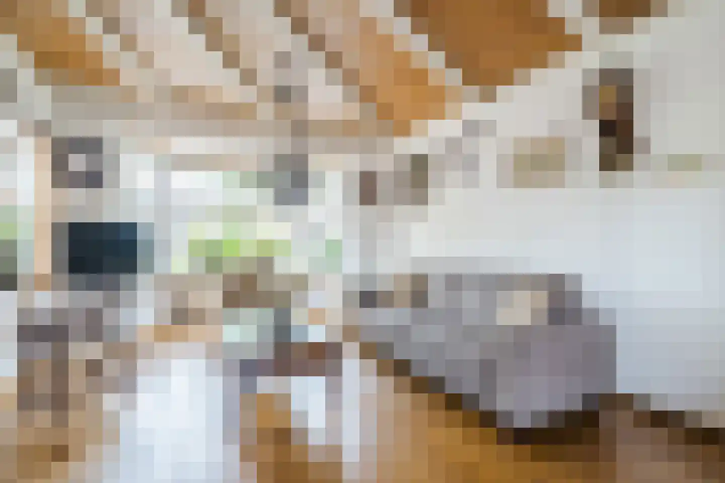 Groen van Prinsterersingel 30 Bunschoten-Spakenburg thumbnail 8