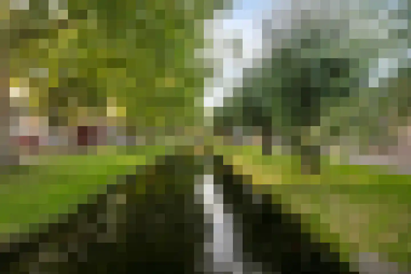 Groen van Prinsterersingel 43 Bunschoten-Spakenburg thumbnail 54