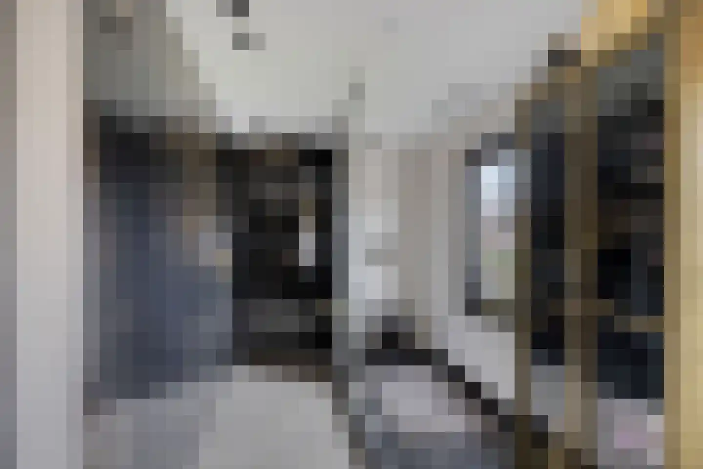 Groen van Prinsterersingel 53 Bunschoten-Spakenburg thumbnail 32