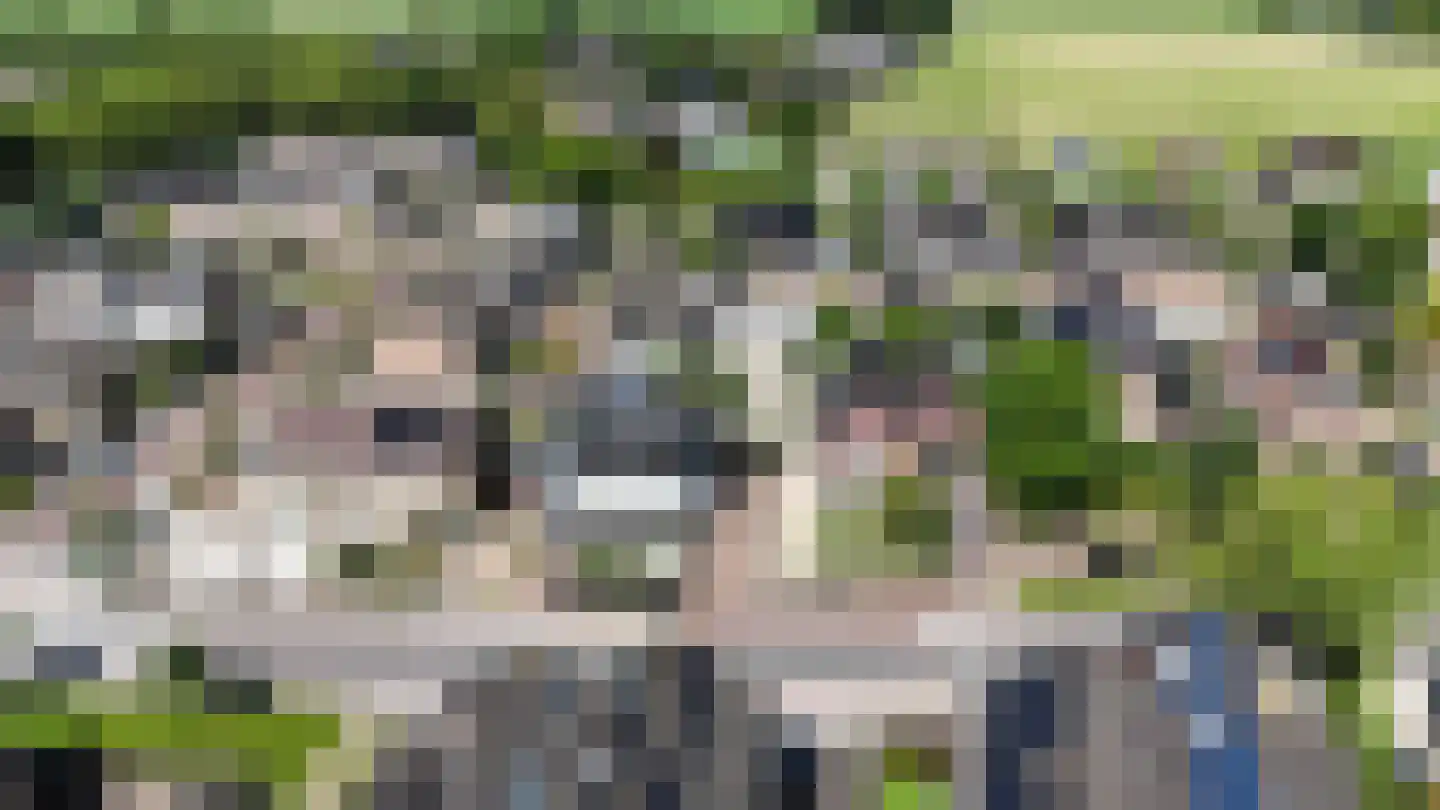 Groen van Prinsterersingel 53 Bunschoten-Spakenburg thumbnail 4