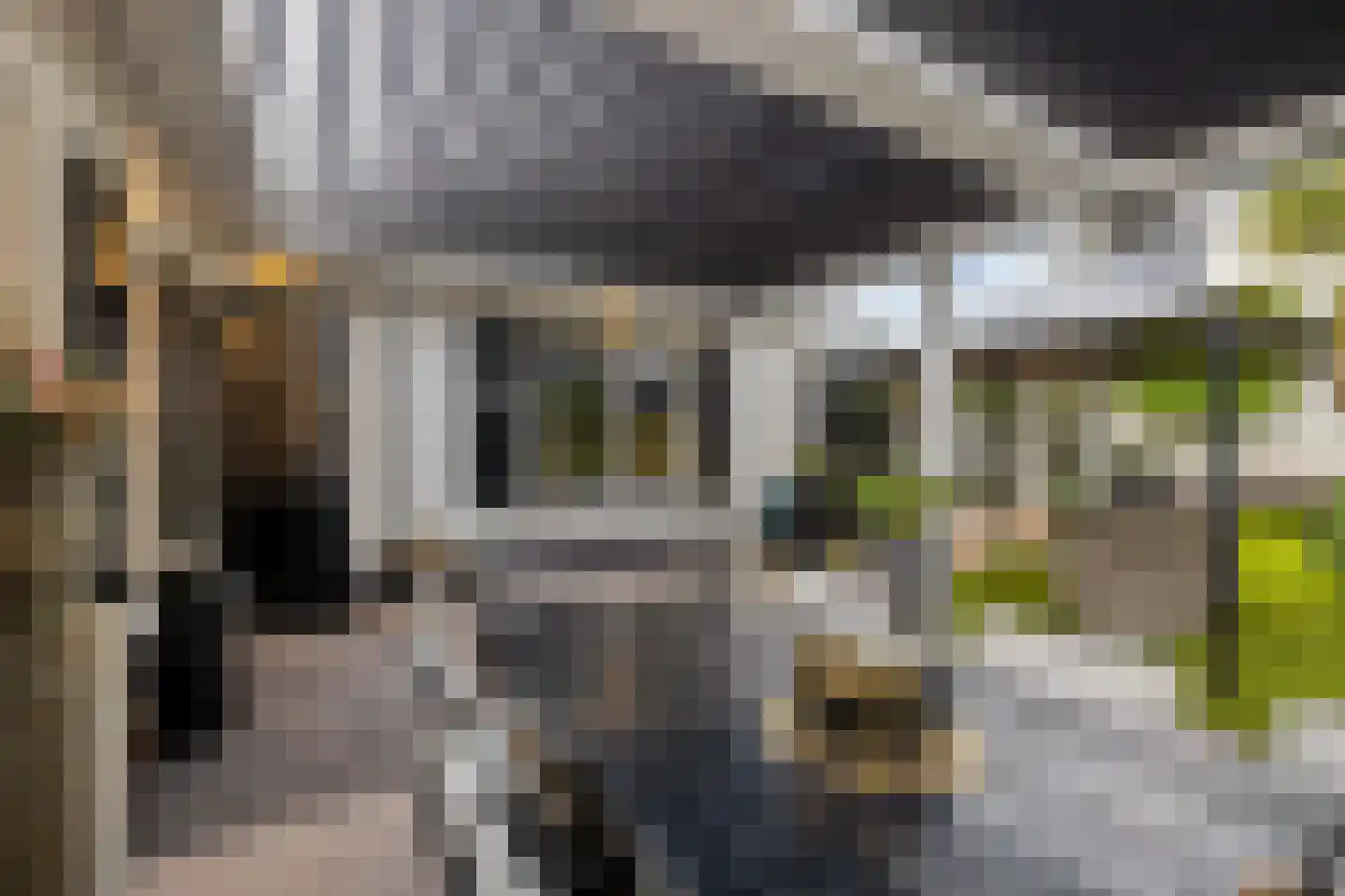 Groen van Prinsterersingel 53 Bunschoten-Spakenburg thumbnail 41
