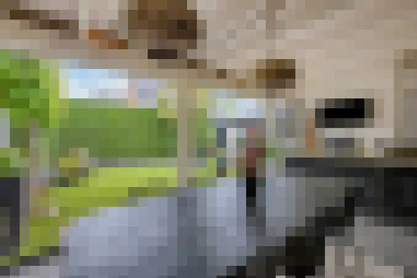 Groen van Prinsterersingel 53 Bunschoten-Spakenburg thumbnail 43