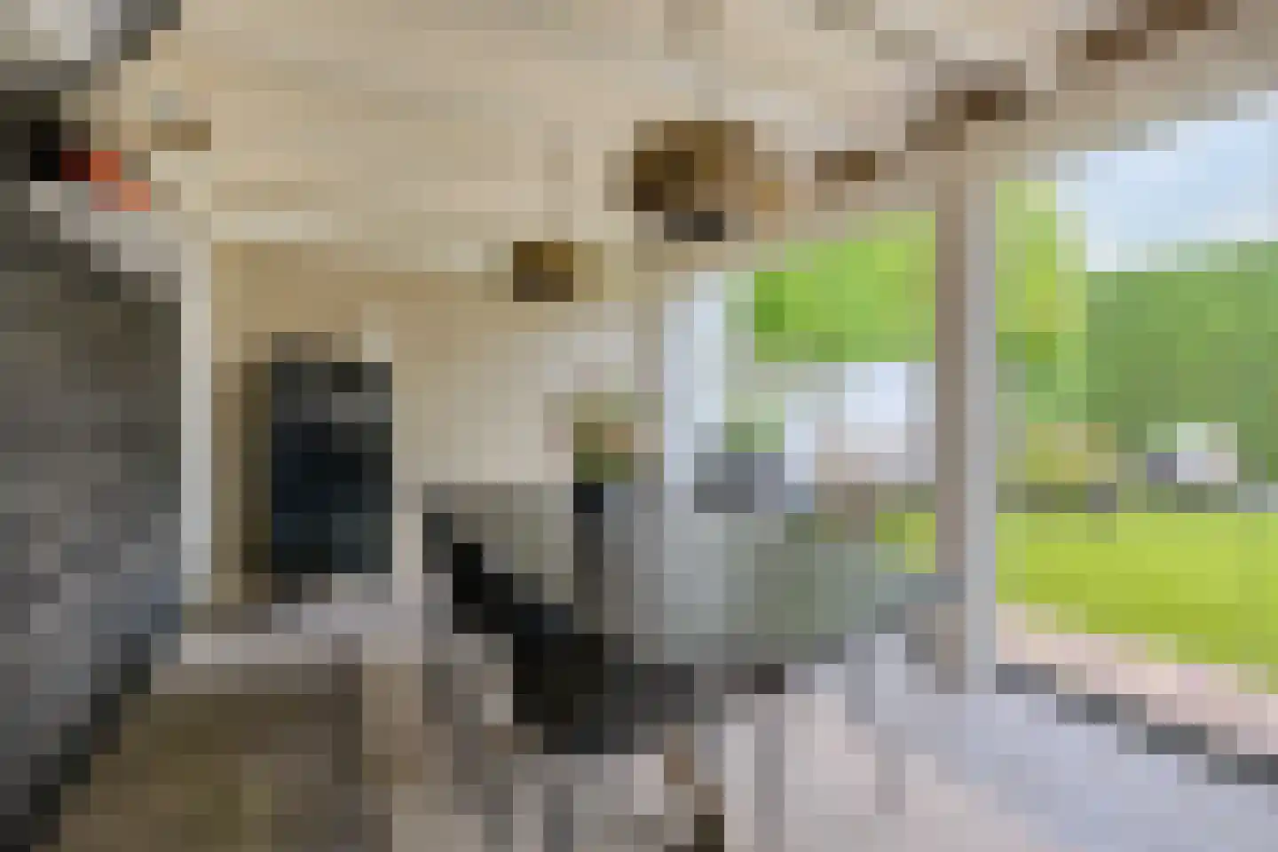 Groen van Prinsterersingel 53 Bunschoten-Spakenburg thumbnail 44