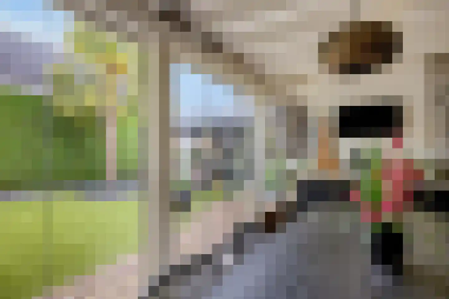 Groen van Prinsterersingel 53 Bunschoten-Spakenburg thumbnail 46