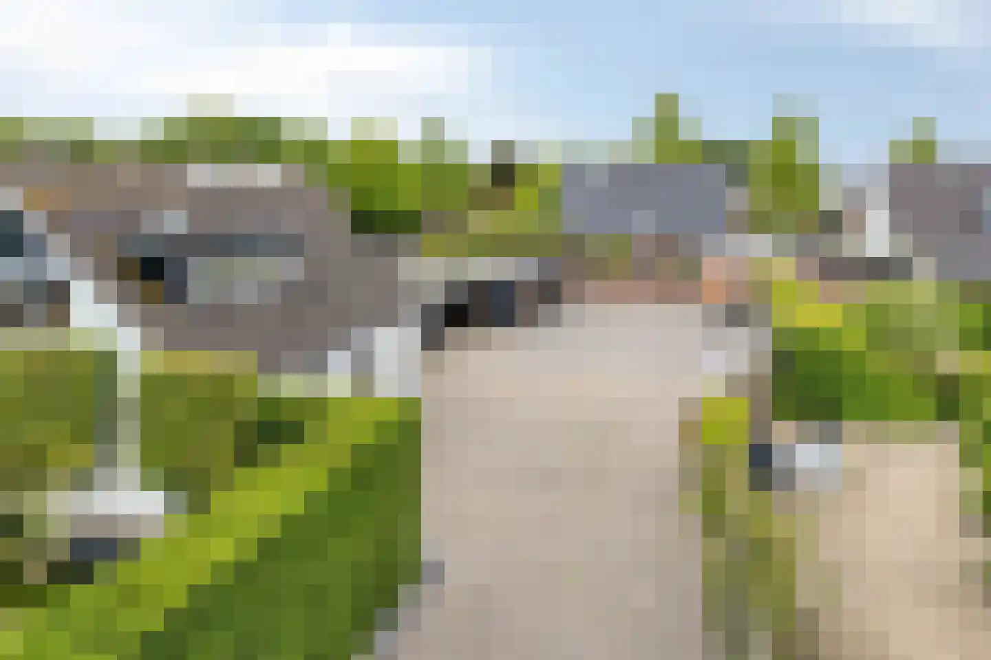 Groen van Prinsterersingel 53 Bunschoten-Spakenburg thumbnail 6