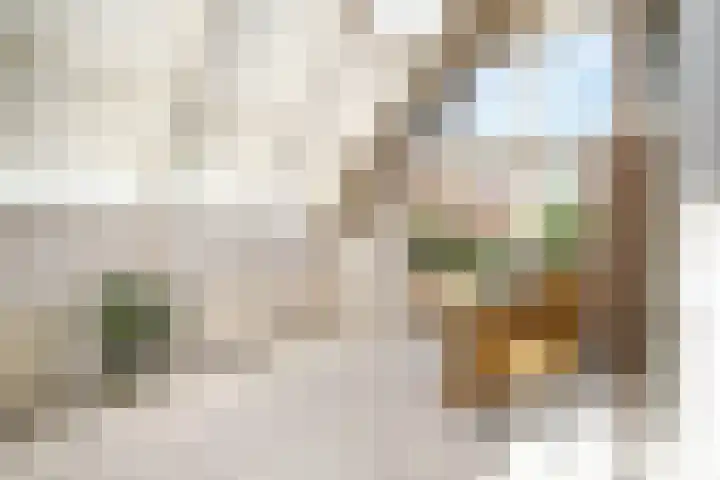 Groen van Prinsterersingel 7 Lekkerkerk thumbnail 14