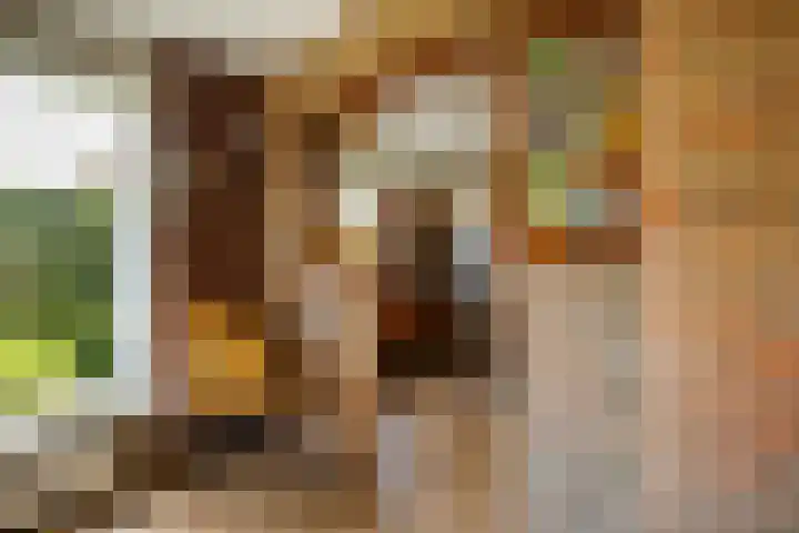 Groen van Prinsterersingel 7 Lekkerkerk thumbnail 15