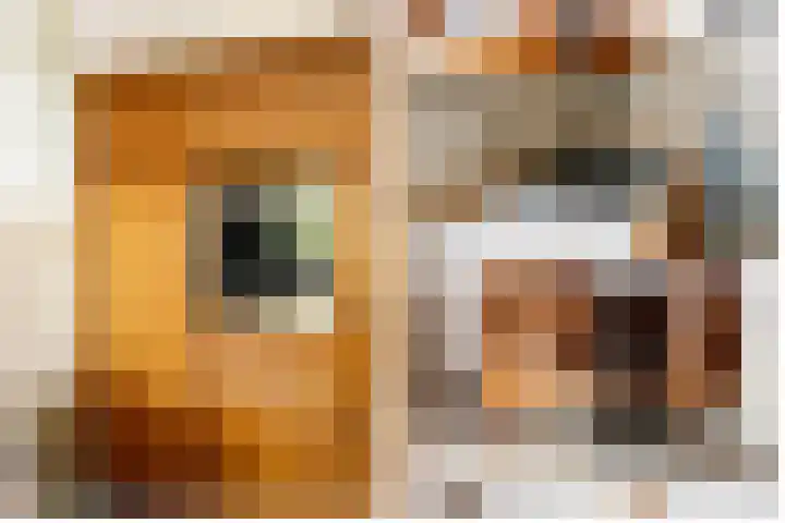 Groen van Prinsterersingel 7 Lekkerkerk thumbnail 18