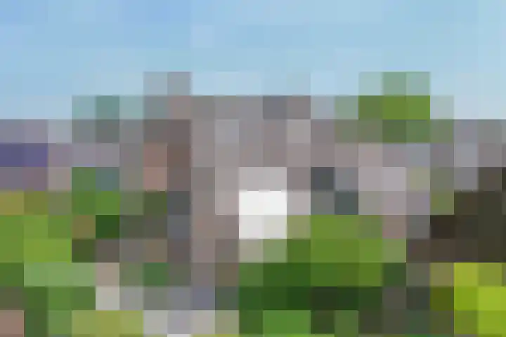 Groen van Prinsterersingel 7 Lekkerkerk thumbnail 41