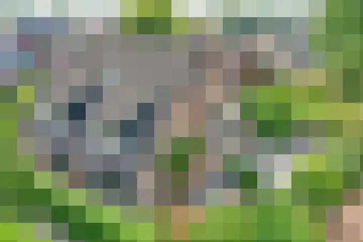 Groen van Prinsterersingel 7 Lekkerkerk thumbnail 42