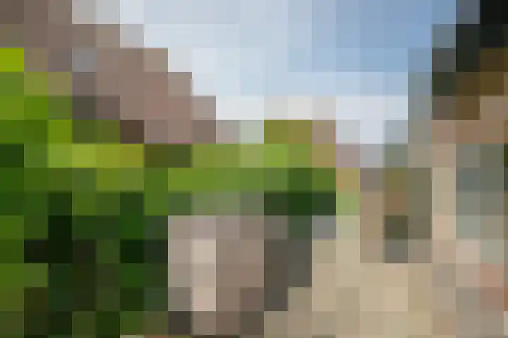 Groen van Prinsterersingel 7 Lekkerkerk thumbnail 44
