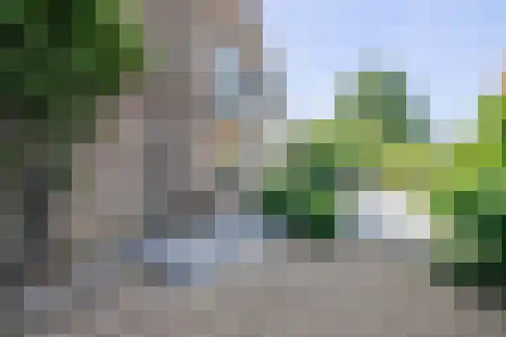 Groen van Prinsterersingel 7 Lekkerkerk thumbnail 45
