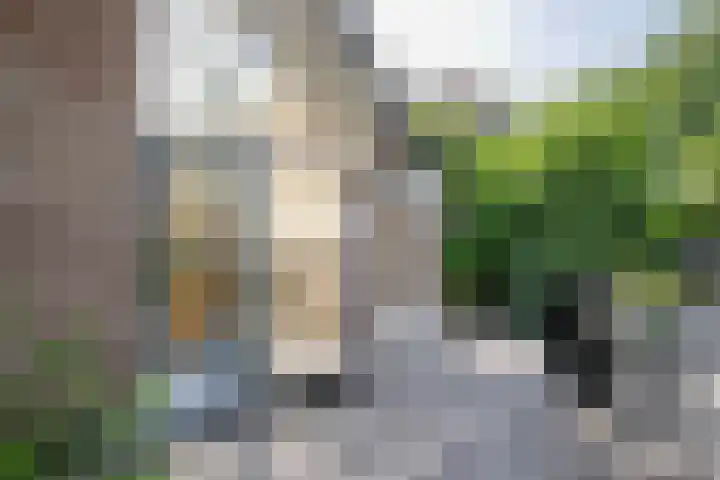Groen van Prinsterersingel 7 Lekkerkerk thumbnail 47