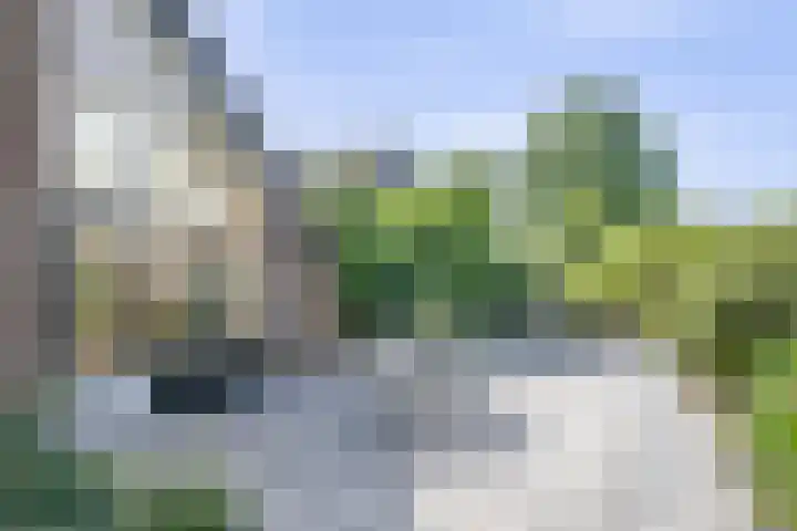 Groen van Prinsterersingel 7 Lekkerkerk thumbnail 48