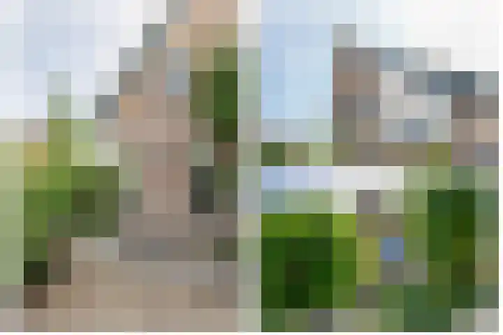 Groen van Prinsterersingel 7 Lekkerkerk thumbnail 49