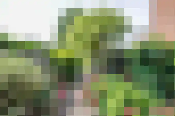 Groen van Prinsterersingel 7 Lekkerkerk thumbnail 50