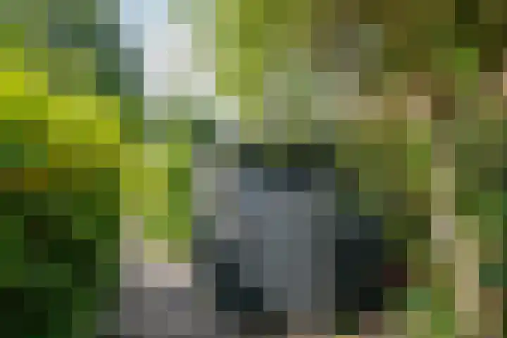 Groen van Prinsterersingel 7 Lekkerkerk thumbnail 51