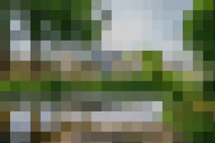Groen van Prinsterersingel 7 Lekkerkerk thumbnail 52