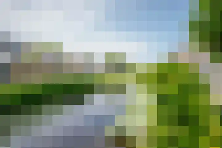 Groen van Prinsterersingel 7 Lekkerkerk thumbnail 53