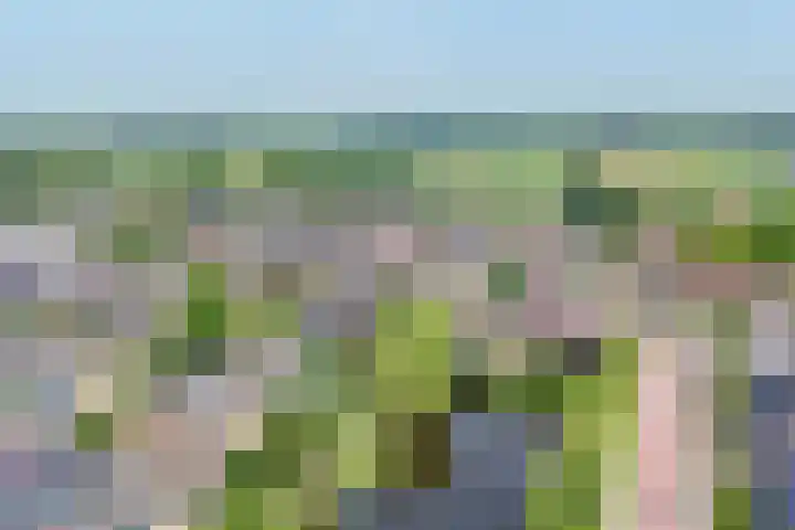 Groen van Prinsterersingel 7 Lekkerkerk thumbnail 55