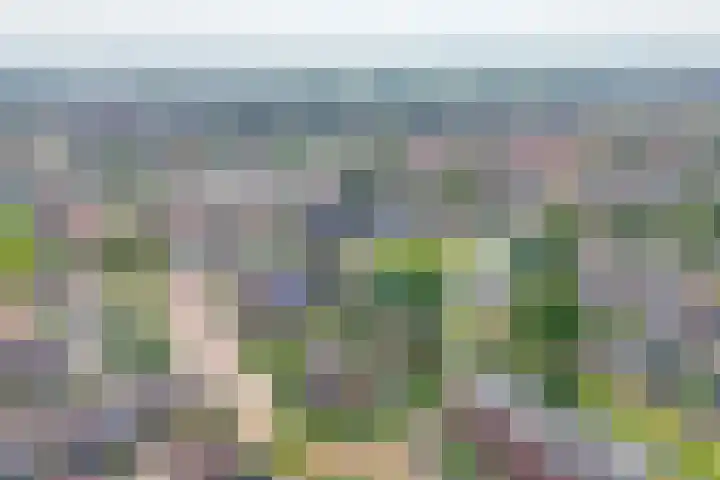 Groen van Prinsterersingel 7 Lekkerkerk thumbnail 56