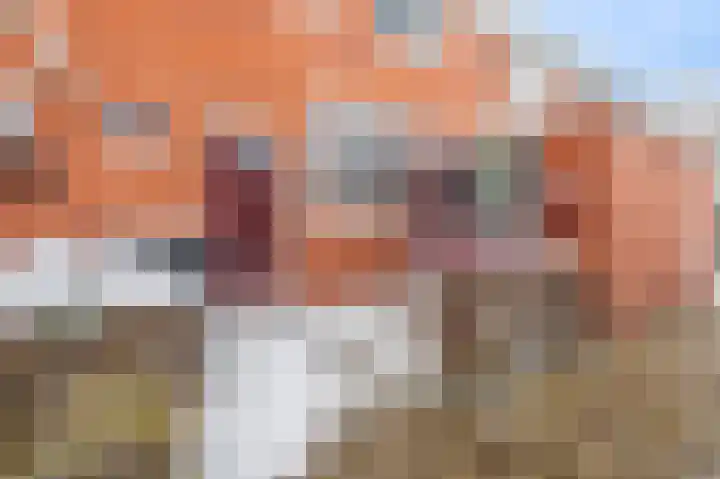 Groen van Prinstererstr 14 Hoogezand thumbnail 7