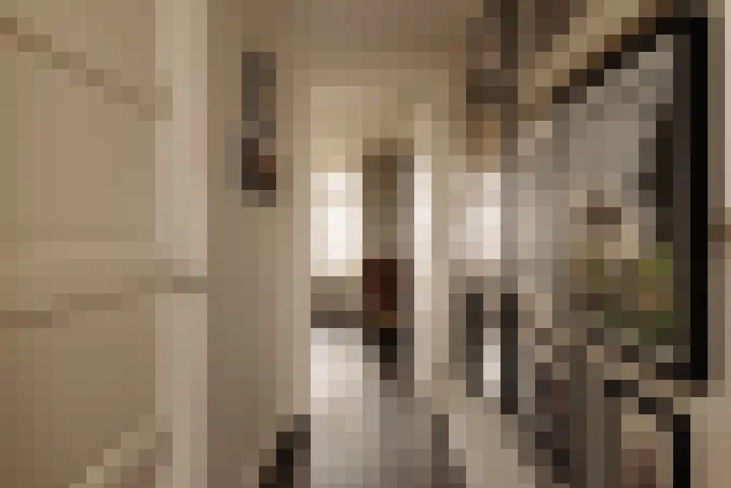 Groen van Prinstererstraat 1 C Amsterdam thumbnail 16