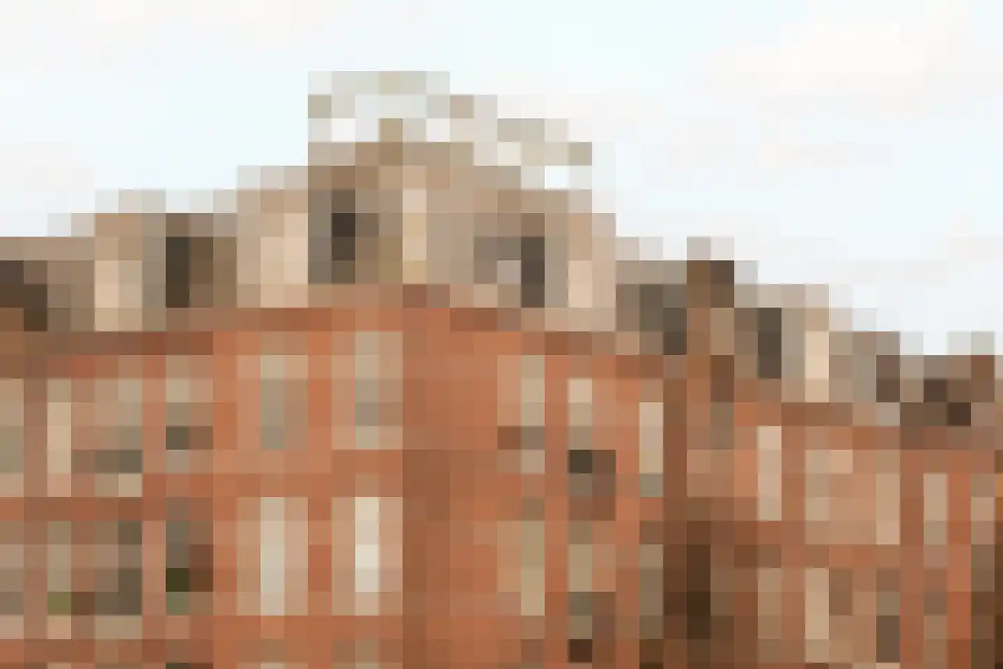 Groen van Prinstererstraat 1 C Amsterdam thumbnail 25