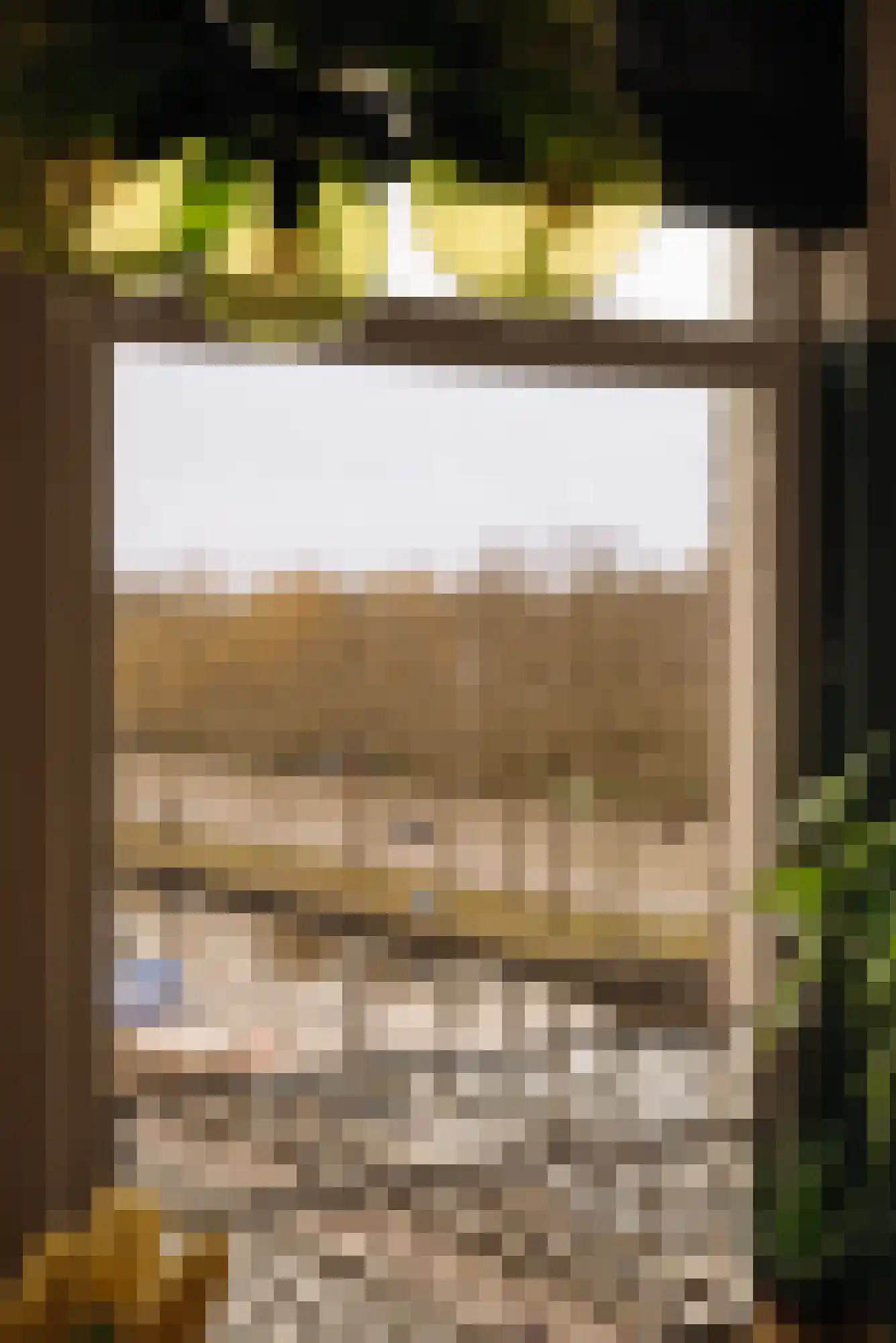 Groen van Prinstererstraat 1 C Amsterdam thumbnail 5
