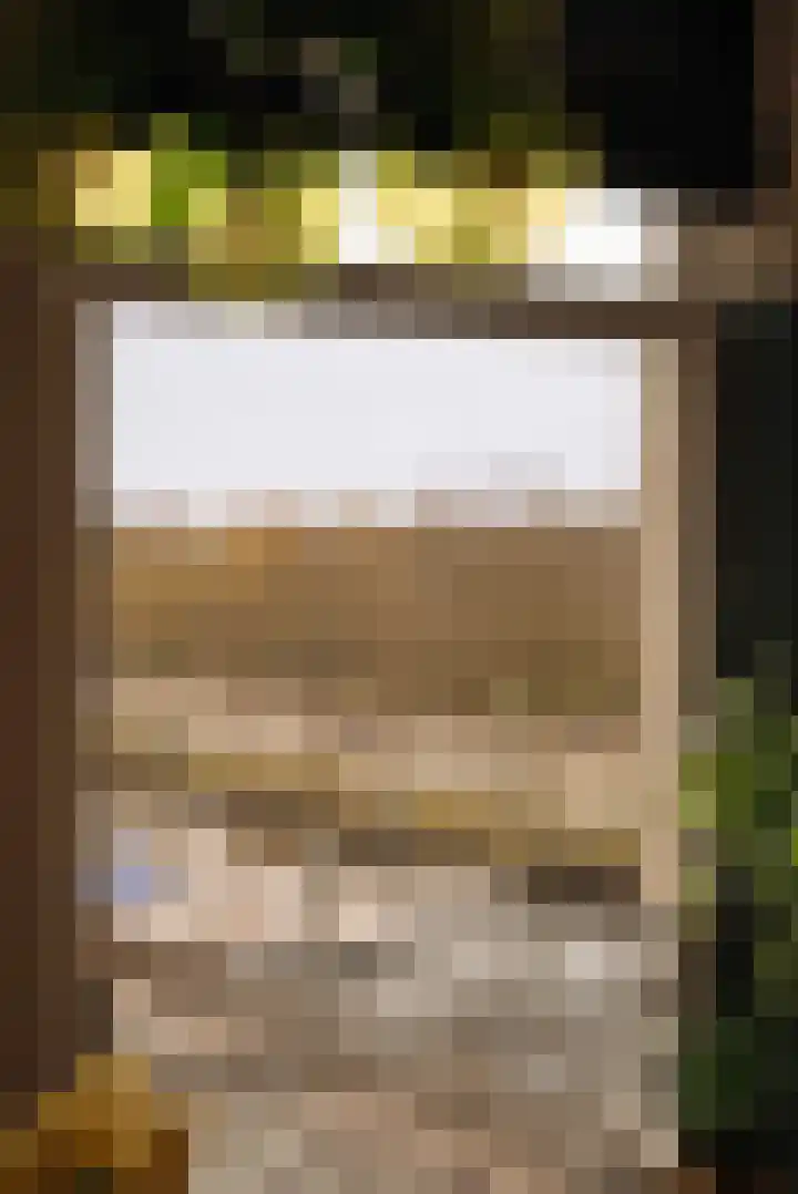Groen van Prinstererstraat 1 C Amsterdam thumbnail 5