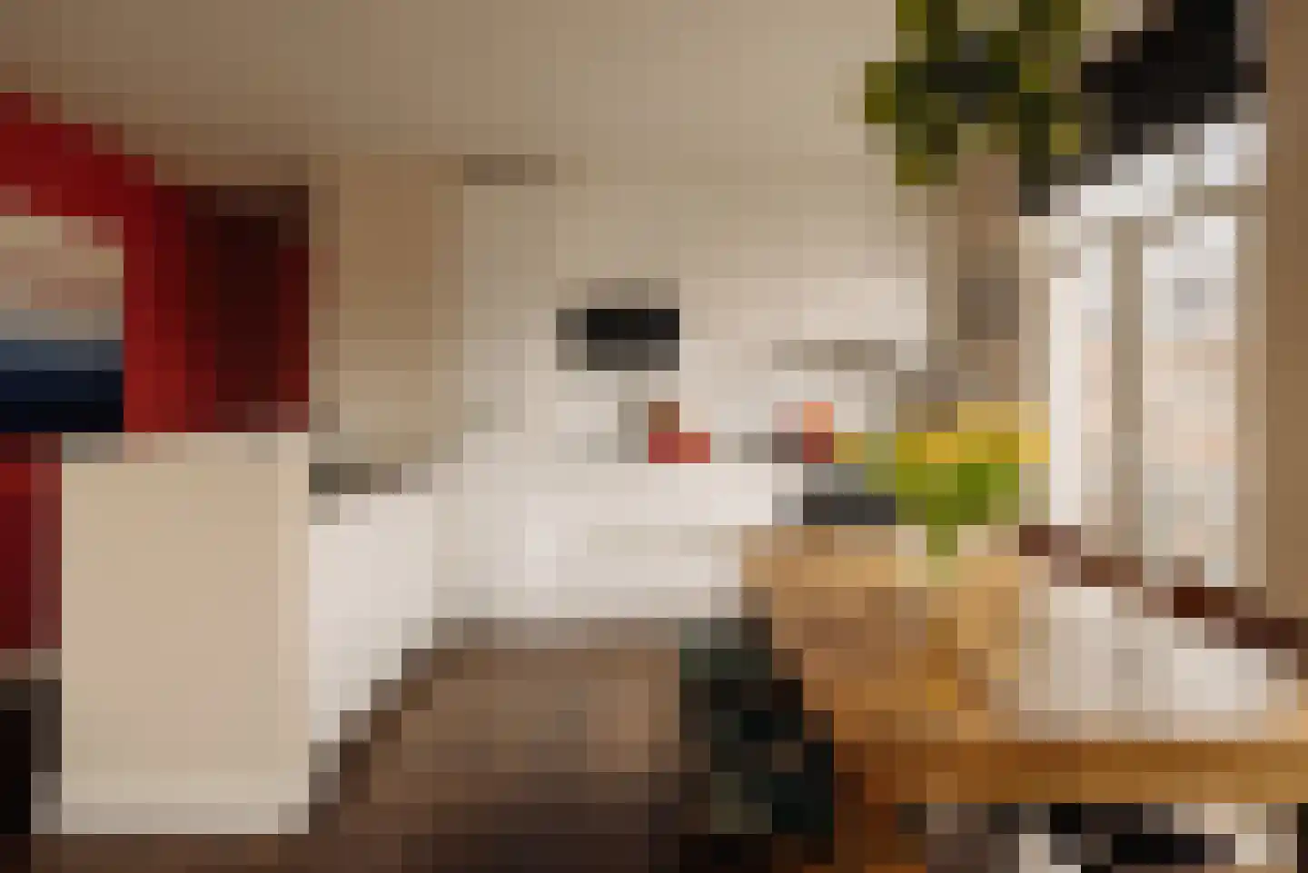 Groen van Prinstererstraat 1 C Amsterdam thumbnail 9