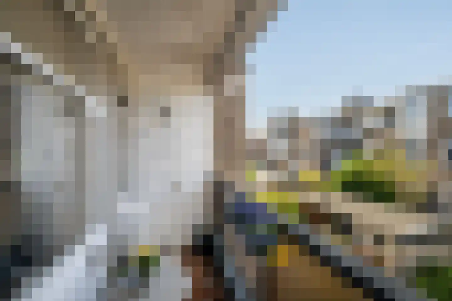 Groen van Prinstererstraat 100 Vlaardingen thumbnail 14