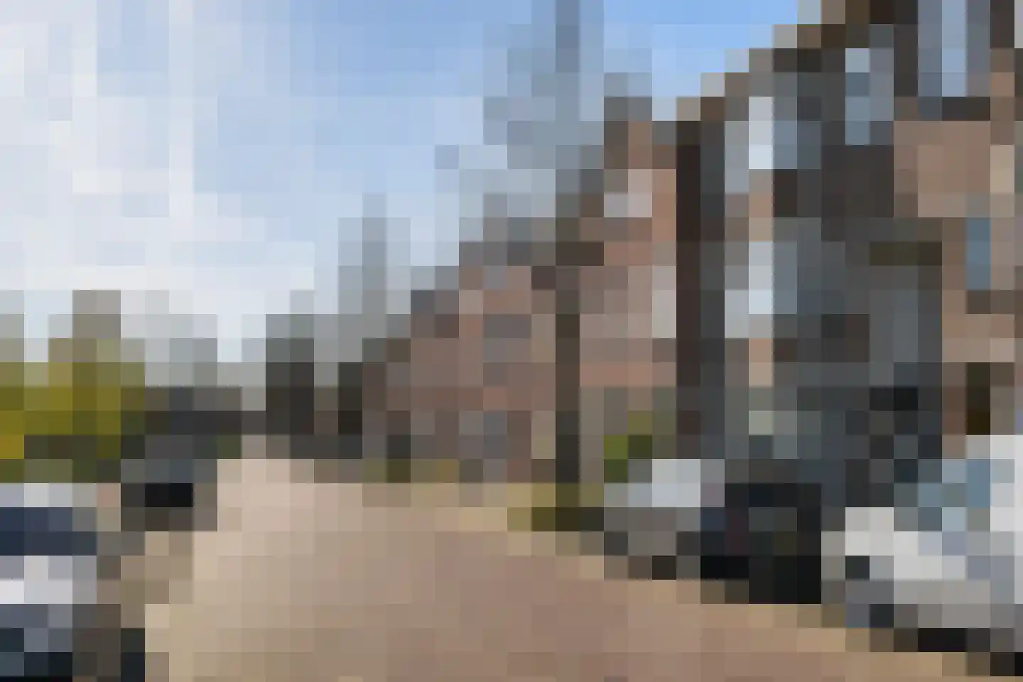 Groen van Prinstererstraat 100 Vlaardingen thumbnail 21