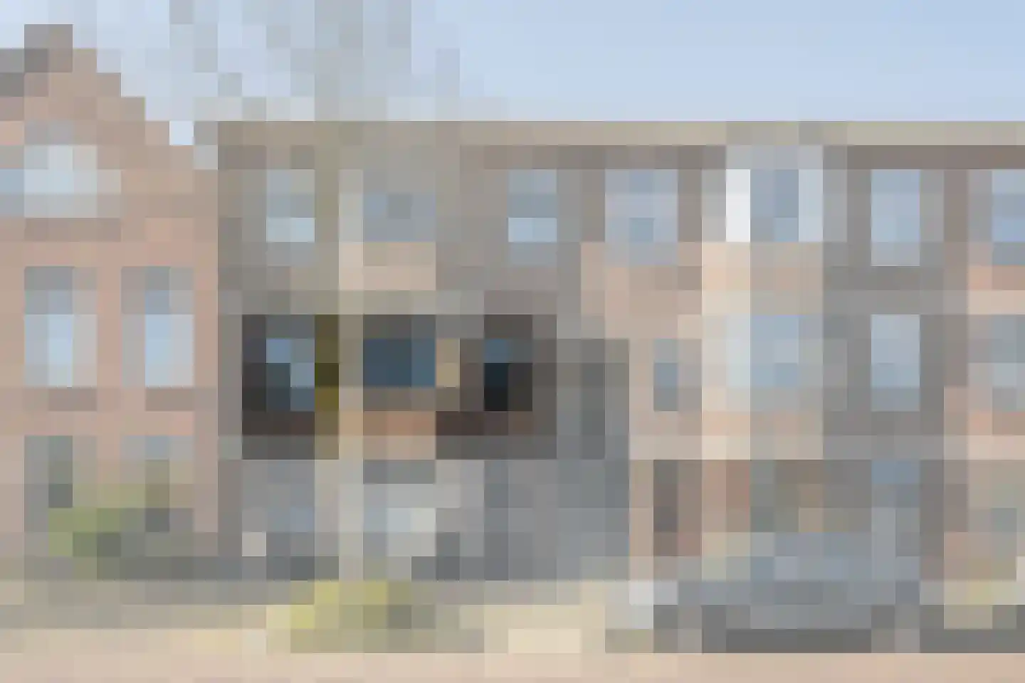 Groen van Prinstererstraat 100 Vlaardingen thumbnail 4