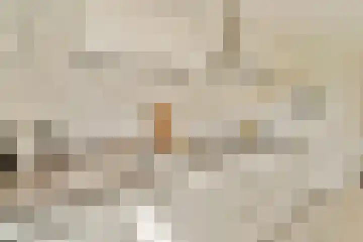 Groen van Prinstererstraat 102 3 Amsterdam thumbnail 12