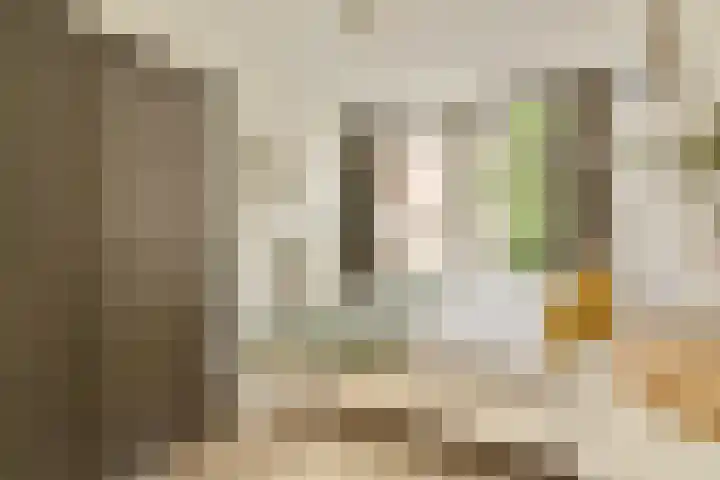 Groen van Prinstererstraat 102 3 Amsterdam thumbnail 13
